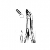 Extracting Forceps American Pattern